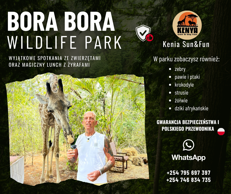 Ochrona zwierząt – nowoczesna prezentacja i post edukacyjny na social media