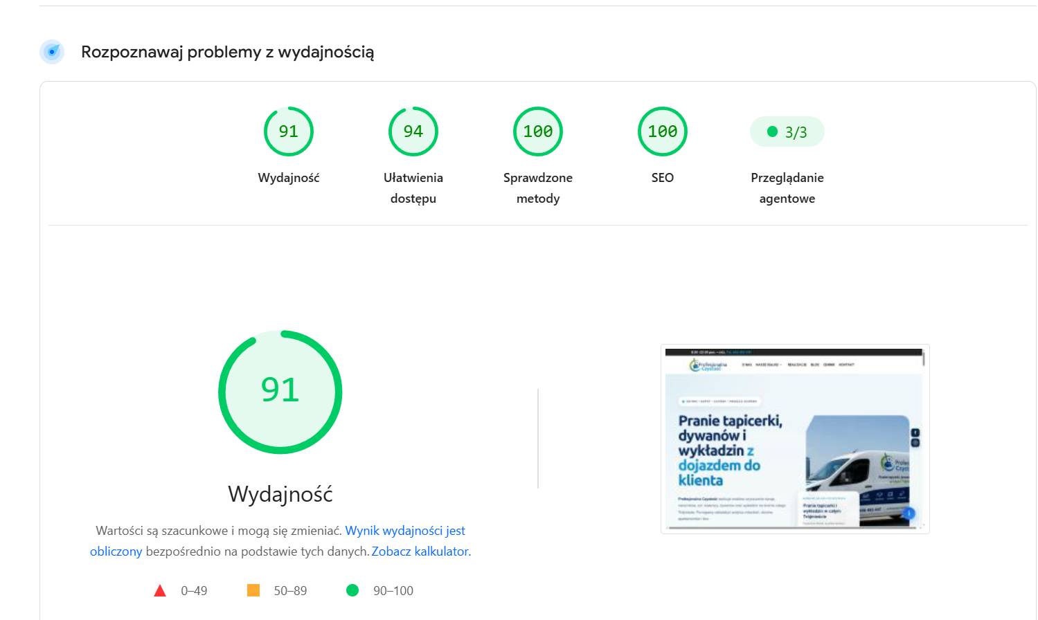 Wynik audytu strony Profesjonalna Czystość: 91 wydajności i 100 punktów SEO